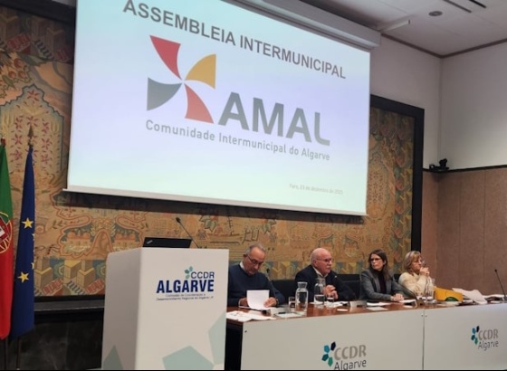 Francisco Amaral &eacute; o novo presidente da Assembleia Intermunicipal da AMAL