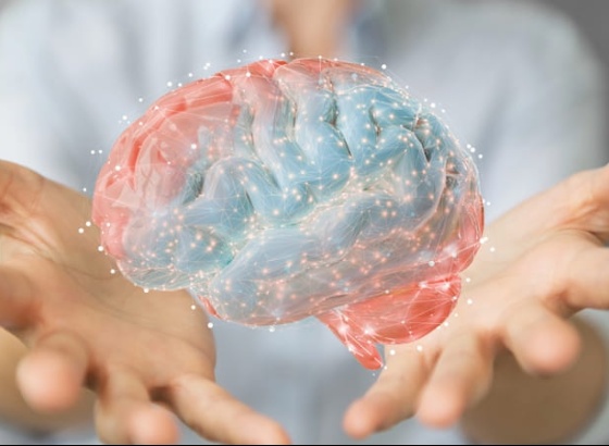 Os nossos pensamentos mudam o c&eacute;rebro