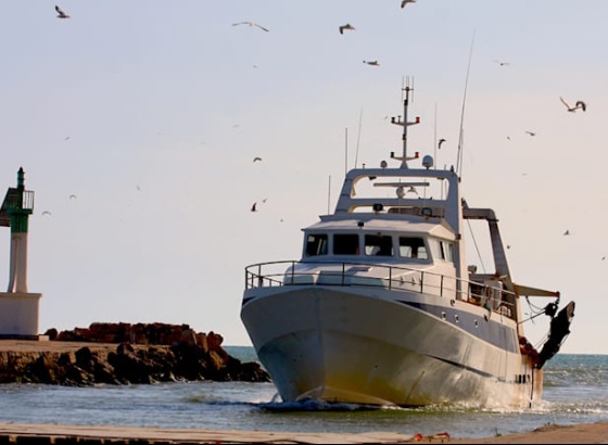 16 lotas nacionais com certifica&ccedil;&atilde;o em seguran&ccedil;a alimentar 