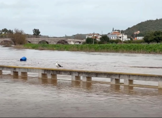 Zona ribeirinha de Silves afetada por cheias