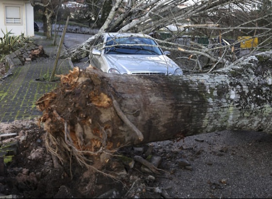 Cruz Vermelha Portuguesa lan&ccedil;a angaria&ccedil;&atilde;o de fundos para apoiar popula&ccedil;&atilde;o afetada pela tempestade Kristin