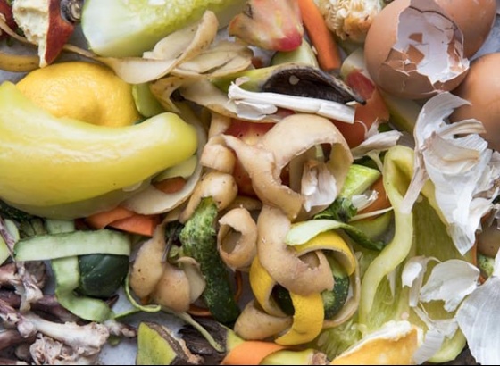 Algar e AMAL v&atilde;o reunir sobre os desafios dos biorres&iacute;duos no Algarve 