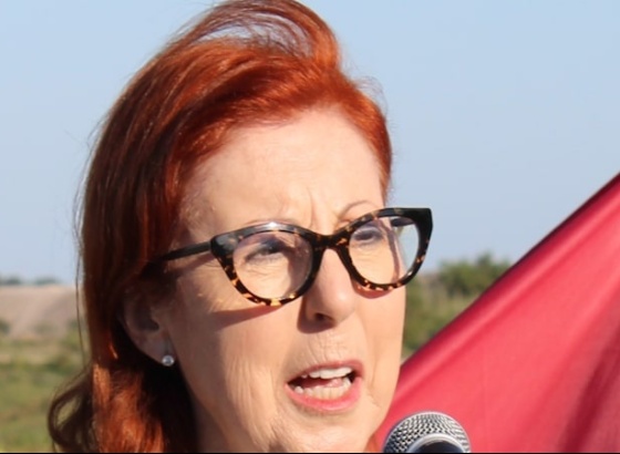 Ministra do Ambiente classifica como "super urgente" interven&ccedil;&atilde;o nas arribas 