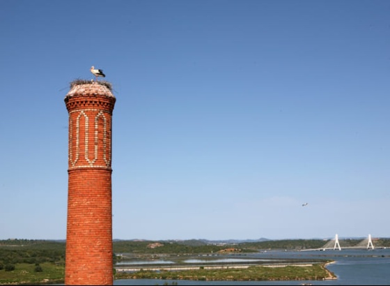 Algarve convida a conhecer de perto o seu patrim&oacute;nio produtivo