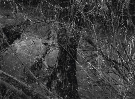 Vasco C&eacute;lio mostra fotografias do seu quotidiano no Convento Esp&iacute;rito Santo, em Loul&eacute;