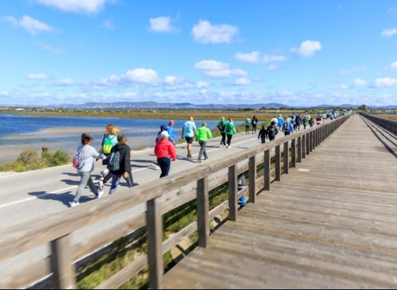 Marcha-Corrida da Ria Formosa &eacute; j&aacute; no domingo com dois percursos pela natureza 