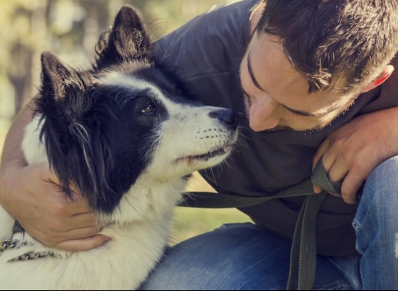 Candidaturas abertas para cria&ccedil;&atilde;o de mural art&iacute;stico no Parque Canino de Quarteira