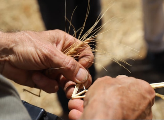 Loul&eacute; e Tavira recebem 3.&ordf; edi&ccedil;&atilde;o das Jornadas T&eacute;cnicas de Agricultura Biol&oacute;gica do Algarve