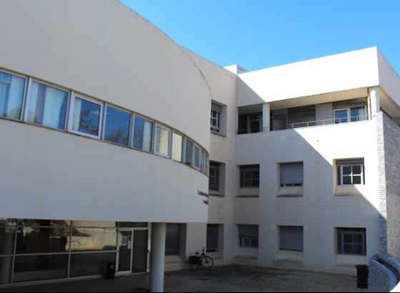 Dois Nobel da Medicina participam em curso internacional de oncologia no Algarve