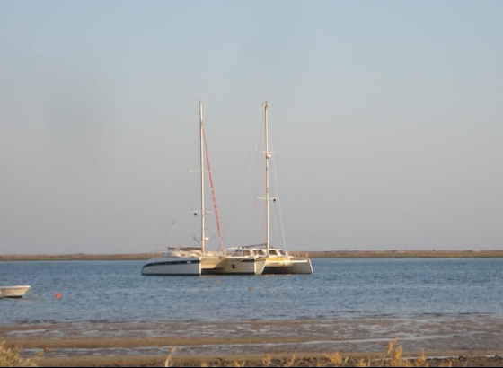 &ldquo;H&aacute; um mundo por descobrir&rdquo; no Dia Aberto do Parque Natural da Ria Formosa
