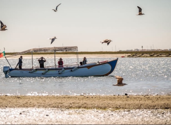 Turismo do Algarve mant&eacute;m atratividade apesar da a incerteza global 