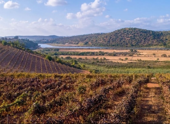 Algarve d&aacute; a conhecer a sua autenticidade ao mercado espanhol 
