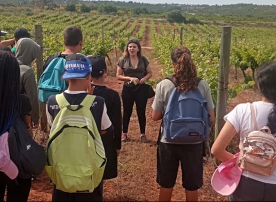 Alunos de Silves descobriram mais sobre geologia, produ&ccedil;&atilde;o local, hist&oacute;ria e cultura