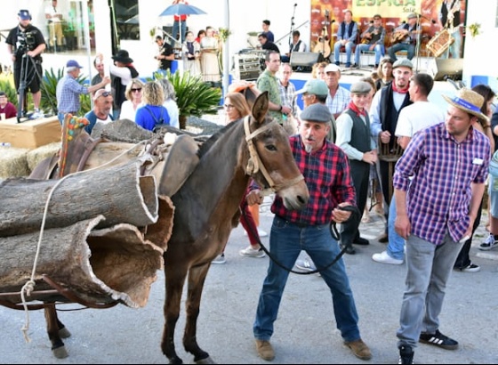 Grupo Vizinhos anima Festa da Espiga em Salir 