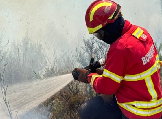 Inc&ecirc;ndio na Freguesia de Montenegro consumiu sete viaturas de rent-a-car
