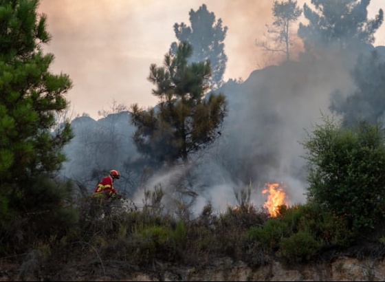 Fogo no Ameixial provoca ferimentos ligeiros em tr&ecirc;s bombeiros 