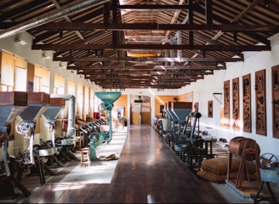Museu da Corti&ccedil;a de Silves reabre ao p&uacute;blico ap&oacute;s 16 anos encerrado
