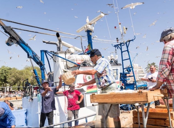 80 figurantes "d&atilde;o vida" &agrave; recria&ccedil;&atilde;o da descarga da sardinha de Portim&atilde;o