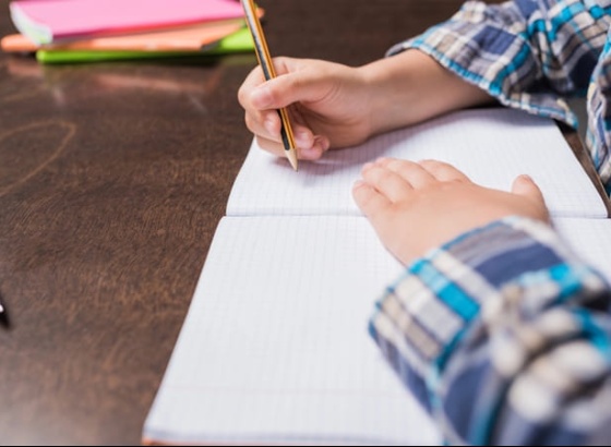 Lagos oferece cadernos de atividades a todos os alunos do 1.&ordm; ciclo no pr&oacute;ximo ano letivo