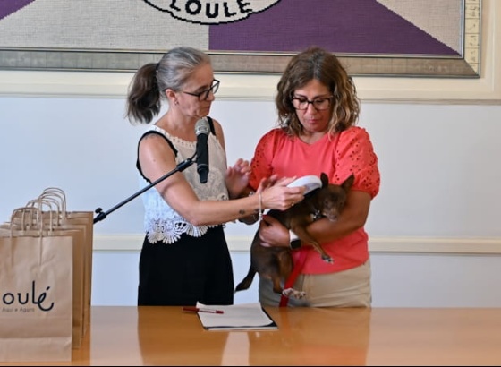 C&acirc;mara de Loul&eacute; refor&ccedil;a investimento no bem-estar animal 