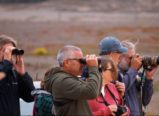 Programa do Festival de Observa&ccedil;&atilde;o de Aves com novidades por explorar