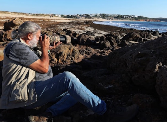 J&aacute; est&atilde;o abertas as inscri&ccedil;&otilde;es para o Festival de Observa&ccedil;&atilde;o de Aves em Sagres