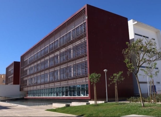 Munic&iacute;pio de Lagos aprova investimento de 2,5 milh&otilde;es de euros para o Desporto 