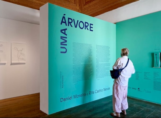 H&aacute; nova visita guiada &agrave; exposi&ccedil;&atilde;o "Alfarrobeira" em Tavira 