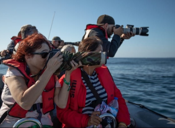 Inscri&ccedil;&otilde;es para Festival de Observa&ccedil;&atilde;o de Aves de Sagres superam em uma semana total de 2025 