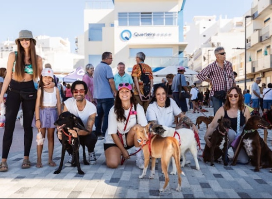 Quarteira assinala Dia Mundial do Animal com exposi&ccedil;&atilde;o e C&atilde;ominhada