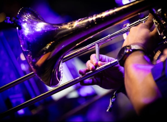 Orquestra de Jazz do Algarve celebra Dia Mundial da M&uacute;sica em Silves 
