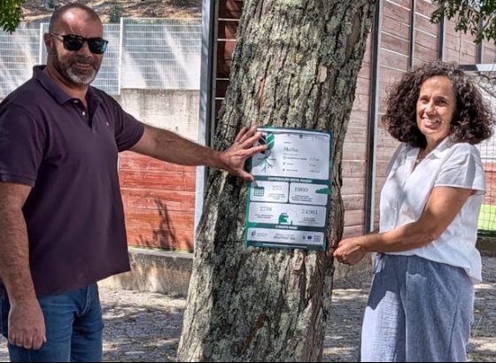 Campanha TreeTag identifica seis &aacute;rvores em Monchique e revela o seu valor ambiental