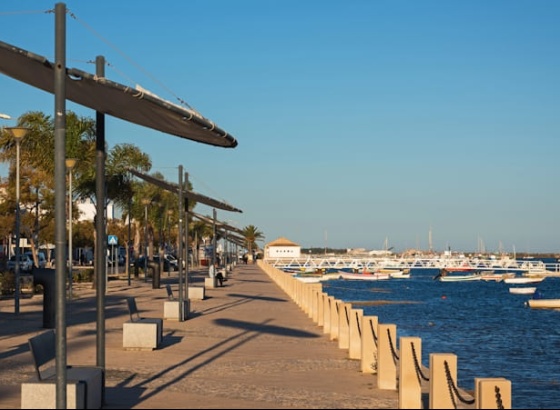 Santa Luzia celebra Dia Mundial do Polvo com Rota Gastron&oacute;mica 