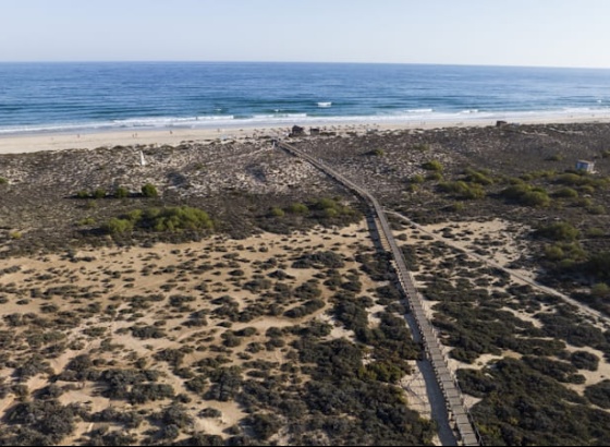 Concession&aacute;rio da Praia da Terra Estreita premiado por pr&aacute;ticas ambientais