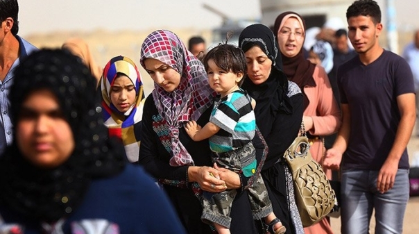 OLHÃO:Campo de refugiados acolhe grupo de 50 sírios 