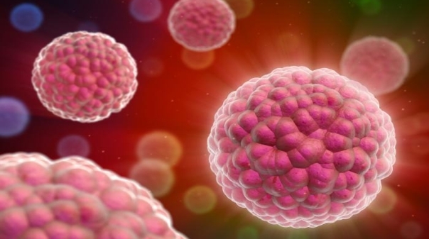 Imunoterapia pode ser “a chave” para tratar o cancro