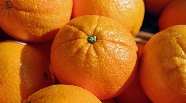 Grupo Continente compra 18 milhões de Kg de laranjas a produtores do Algarve