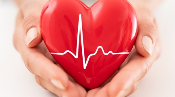 Espaço Saúde 360º Algarve promove sessão informativa sobre saúde cardiovascular