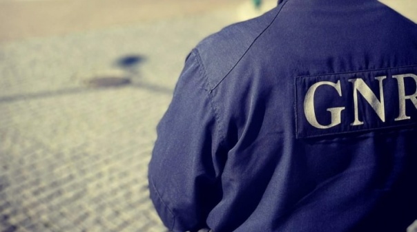 Sete detidos por tráfico de estupefacientes em Albufeira e Lagoa