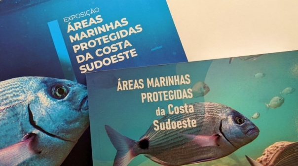 Foi apresentado em Aljezur, o livro e exposição “Áreas Marinhas Protegidas da Costa Sudoeste”