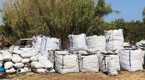 Castro Marim: GNR apreende cerca de 15 toneladas de alfarroba 