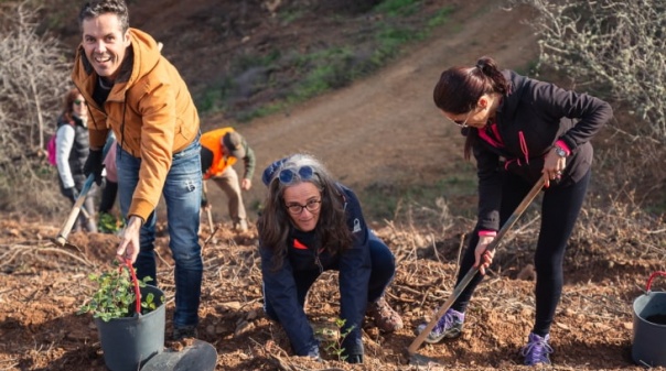 Voluntários plantaram 19 hectares de área ardida em Castro Marim