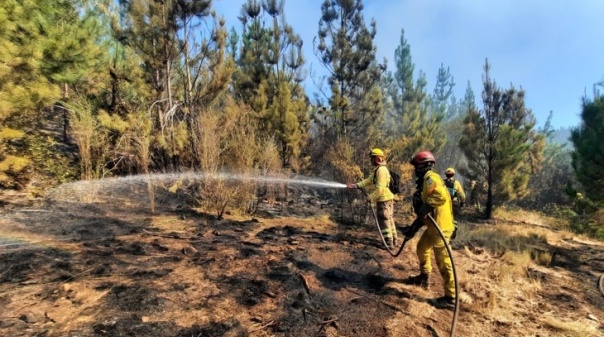 Governo alerta que risco de incêndio aumentou cerca de 40% face a 2022