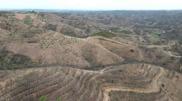 Castro Marim: GuadiMonte apresenta projeto de reflorestação da área ardida no incêndio de 2021
