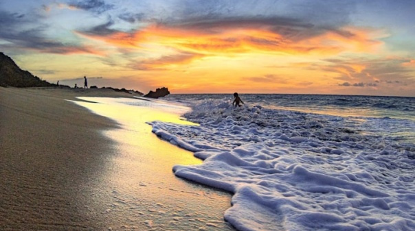 Praias de Albufeira vão ser palco de iniciativas de educação ambiental