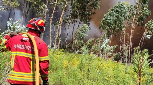 Mais de 120 operacionais e cinco meios aéreos combatem fogo no concelho de Aljezur