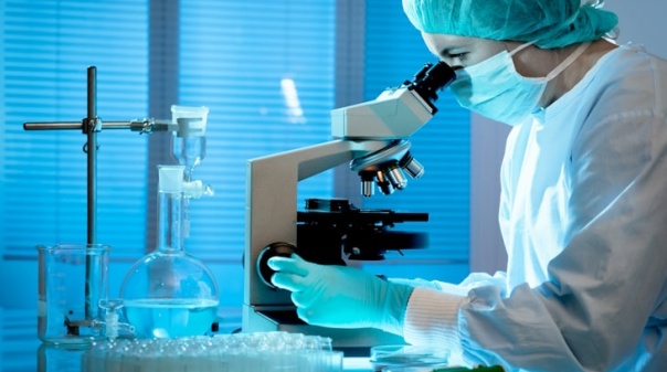 Investigadores das universidades do Algarve e de Aveiro descobrem que modificação química de proteínas evita perda de função muscular 