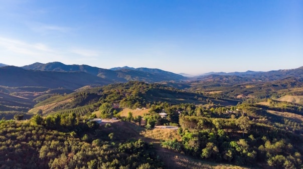 ANP/WWF recupera zona perto de antiga lixeira na serra do Caldeirão em Tavira