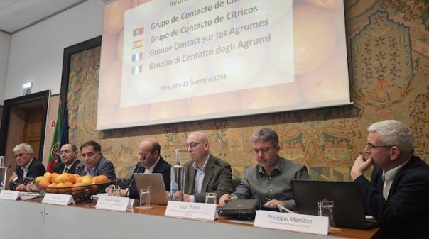 Organizações de produtores de citrinos de Portugal, Espanha, França e Itália reuniram-se no Algarve 