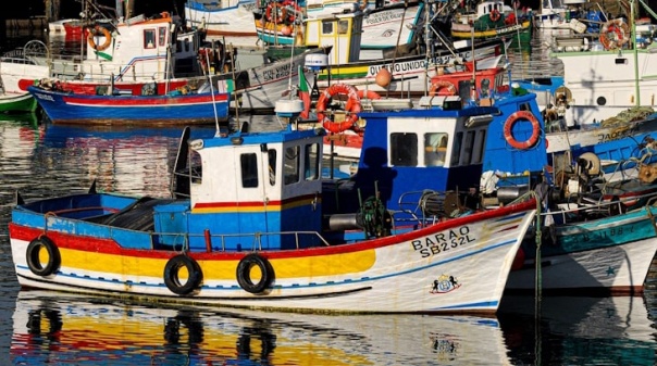 Pescadores alertam que dessalinizadora no Algarve será tragédia que tira sustento a muitas famílias 